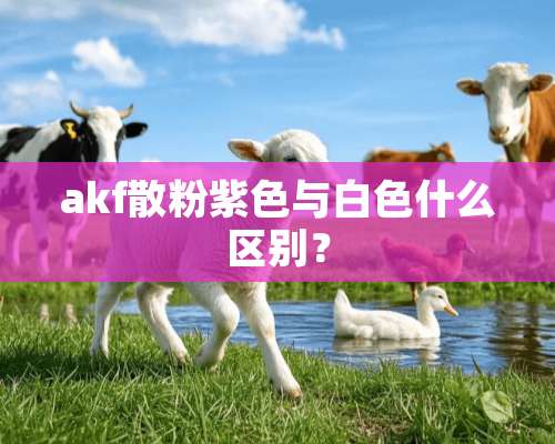 akf散粉紫色与白色什么区别？