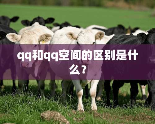 qq和qq空间的区别是什么？