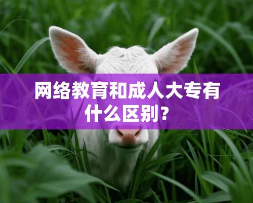 网络教育和**大专有什么区别？