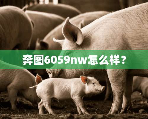 奔图6059nw怎么样？