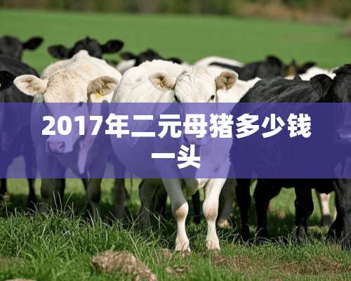 2017年二元母猪多少钱一头