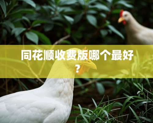 同花顺收费版哪个最好？