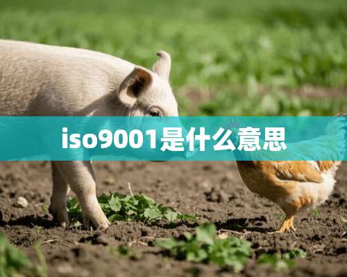 iso9001是什么意思