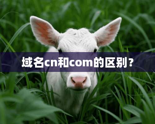 域名cn和com的区别？