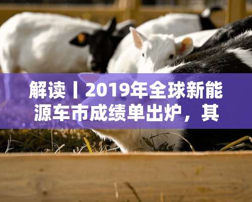 解读丨2019年全球新能源车市成绩单出炉，其中隐含了哪些趋势？