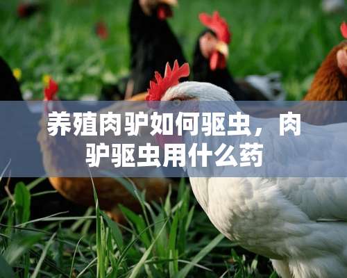 养殖肉驴如何驱虫，肉驴驱虫用什么药