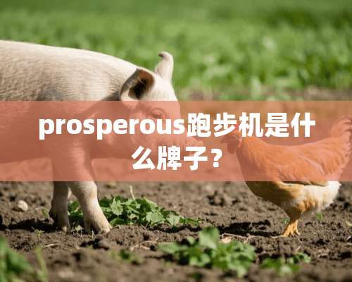 prosperous跑步机是什么牌子？