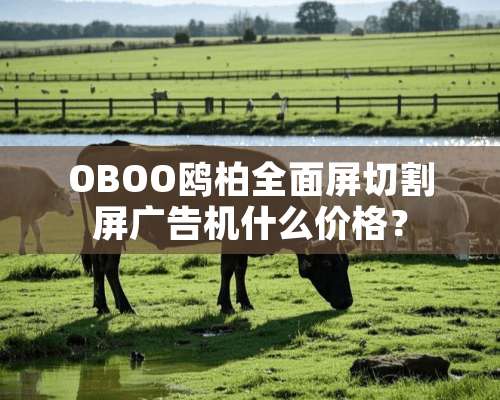 OBOO鸥柏全面屏切割屏广告机什么价格？