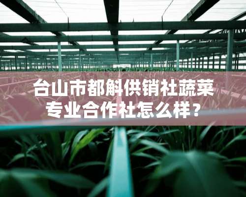 台山市都斛供销社蔬菜专业合作社怎么样？