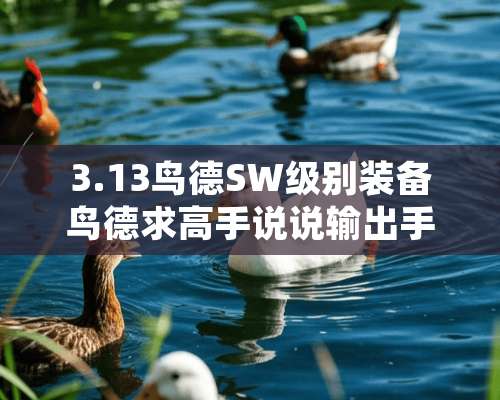 3.13鸟德SW级别装备鸟德求高手说说输出手法+天赋？