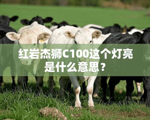 红岩杰狮C100这个灯亮是什么意思？