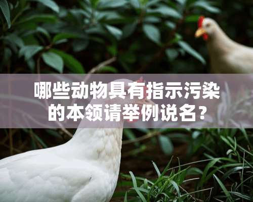 哪些动物具有指示污染的本领请举例说名？