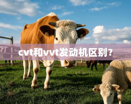 cvt和vvt发动机区别？