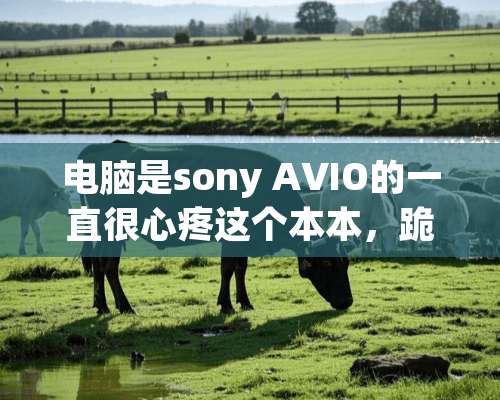 电脑是sony AVIO的一直很心疼这个本本，跪求解决方案！