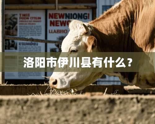 洛阳市伊川县有什么？