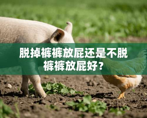 脱掉裤裤放屁还是不脱裤裤放屁好？