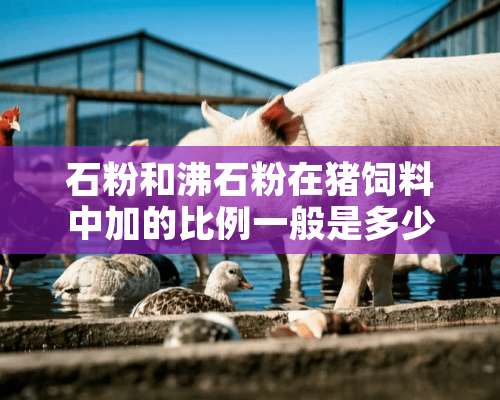 石粉和沸石粉在猪饲料中加的比例一般是多少？