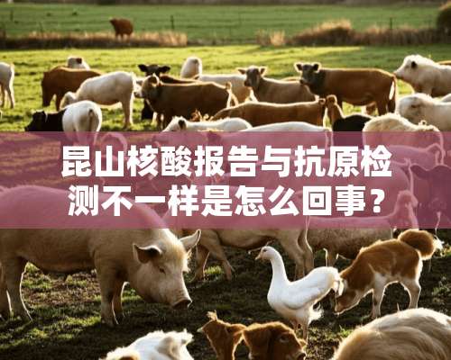 昆山核酸报告与抗原检测不一样是怎么回事？