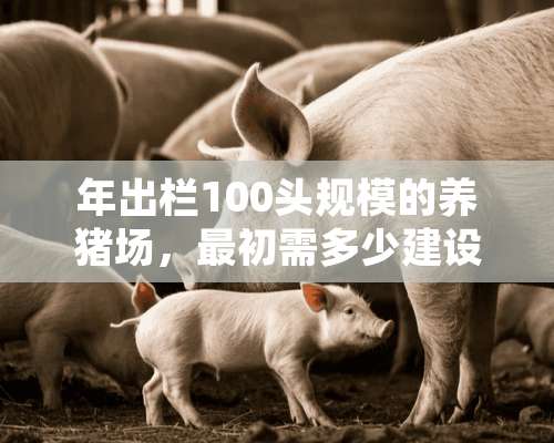 年出栏100头规模的养猪场，最初需多少建设资金？