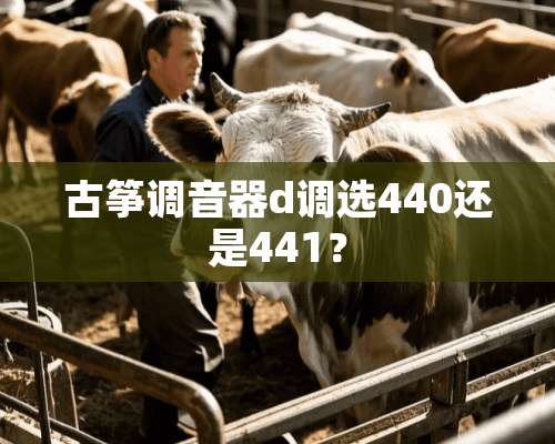 古筝调音器d调选440还是441？