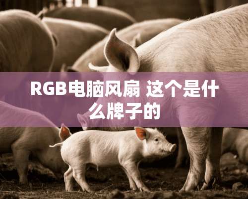 RGB电脑风扇 这个是什么牌子的