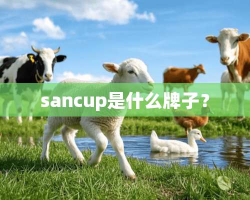 sancup是什么牌子？