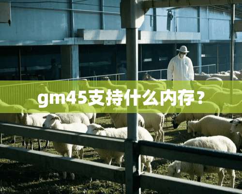 gm45支持什么内存？