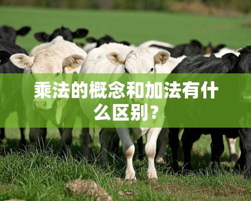 乘法的概念和加法有什么区别？