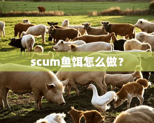 scum鱼饵怎么做？