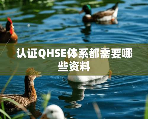 认证QHSE体系都需要哪些资料