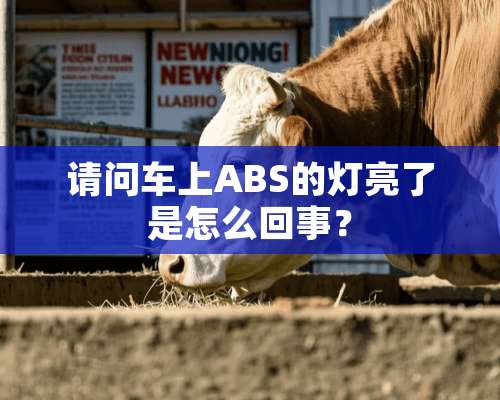 请问车上ABS的灯亮了是怎么回事？