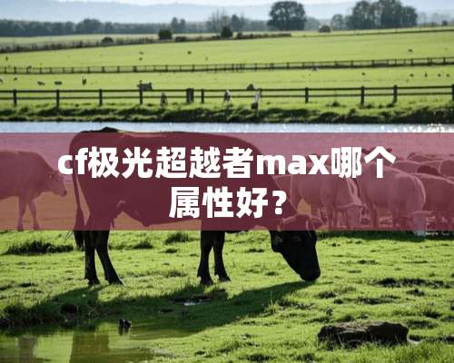 cf极光超越者max哪个属性好？