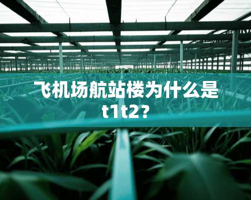 飞机场航站楼为什么是t1t2？