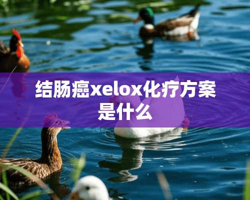 结肠癌xelox化疗方案是什么