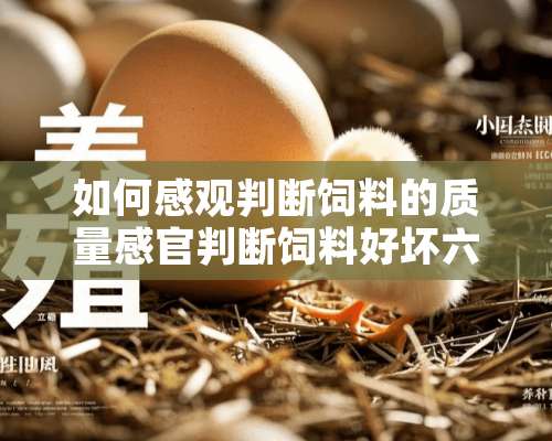 如何感观判断饲料的质量感官判断饲料好坏六大法