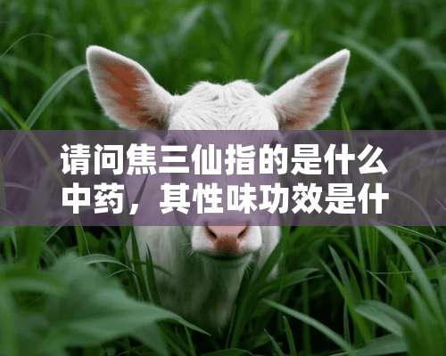 请问焦三仙指的是什么中药，其性味功效是什么？用量是多少