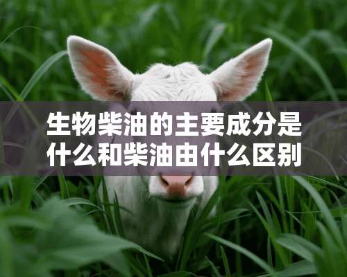 生物柴油的主要成分是什么和柴油由什么区别？