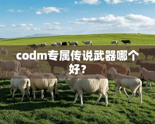 codm专属传说**哪个好？