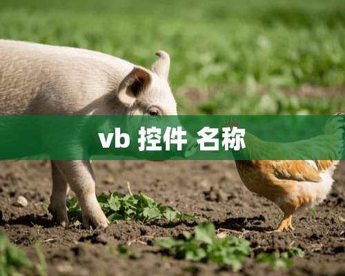 vb 控件 名称