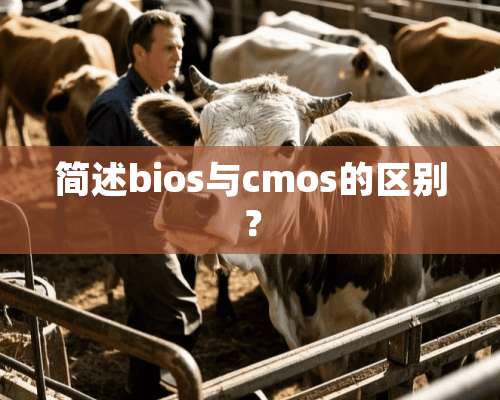 简述bios与cmos的区别？