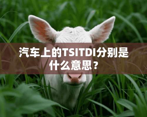 汽车上的TSITDI分别是什么意思？