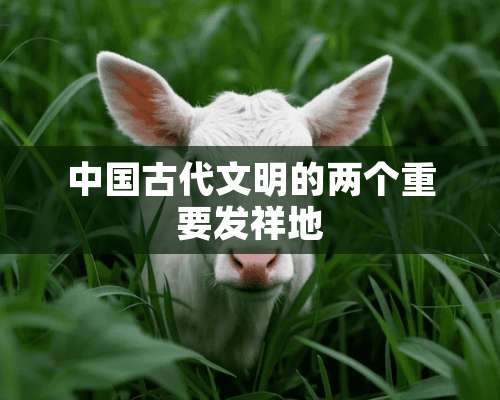 中国古代文明的两个重要发祥地