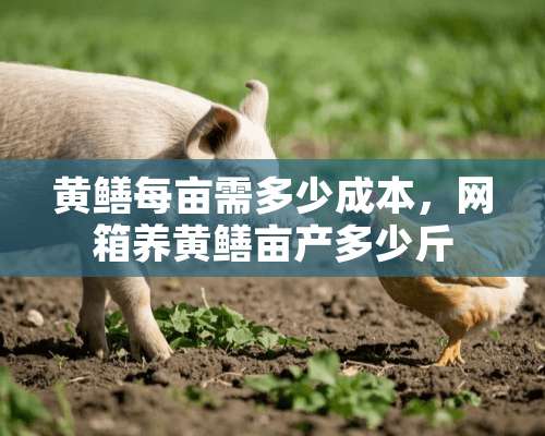 黄鳝每亩需多少成本，网箱养黄鳝亩产多少斤