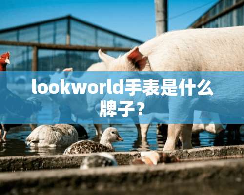 lookworld手表是什么牌子？