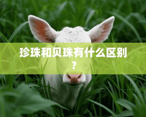 珍珠和贝珠有什么区别？