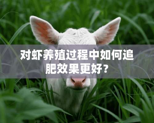 对虾养殖过程中如何追肥效果更好？