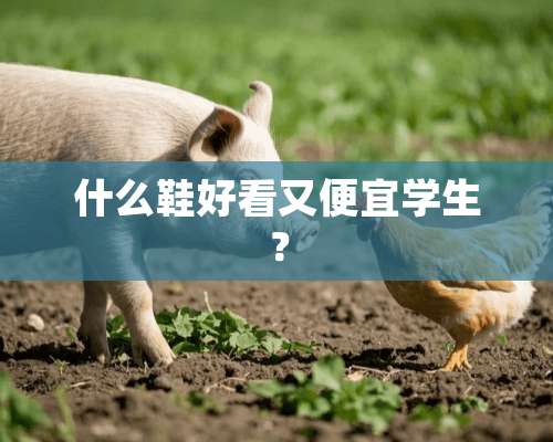 什么鞋好看又便宜学生？