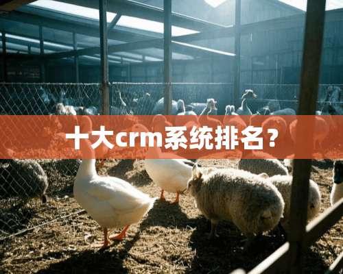 十大crm系统排名？