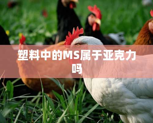 塑料中的MS属于亚克力吗