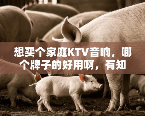 想买个家庭KTV音响，哪个牌子的好用啊，有知道的吗？